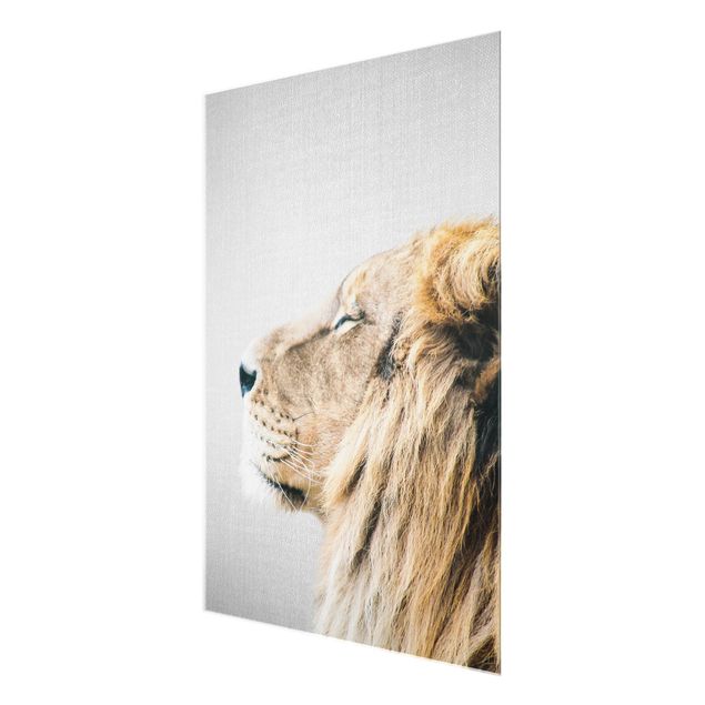 Billeder sort og hvid Lion Leopold