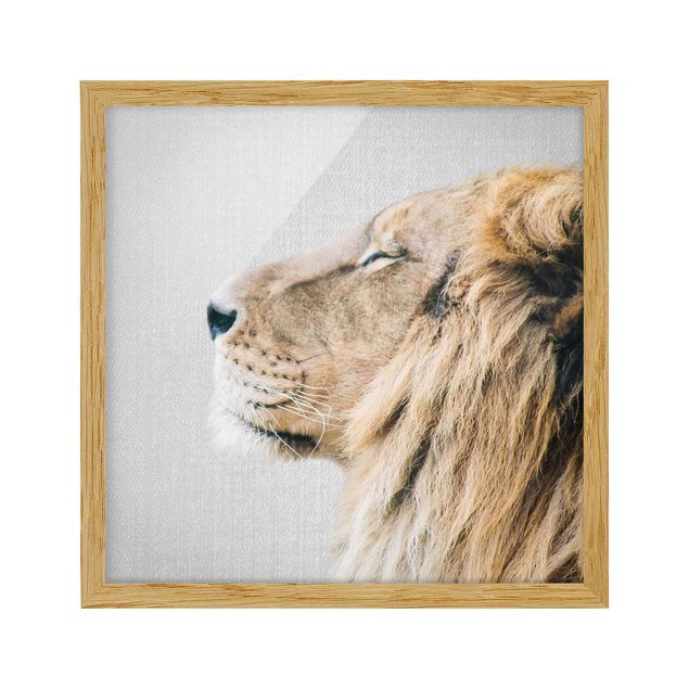 Indrammede plakater dyr Lion Leopold
