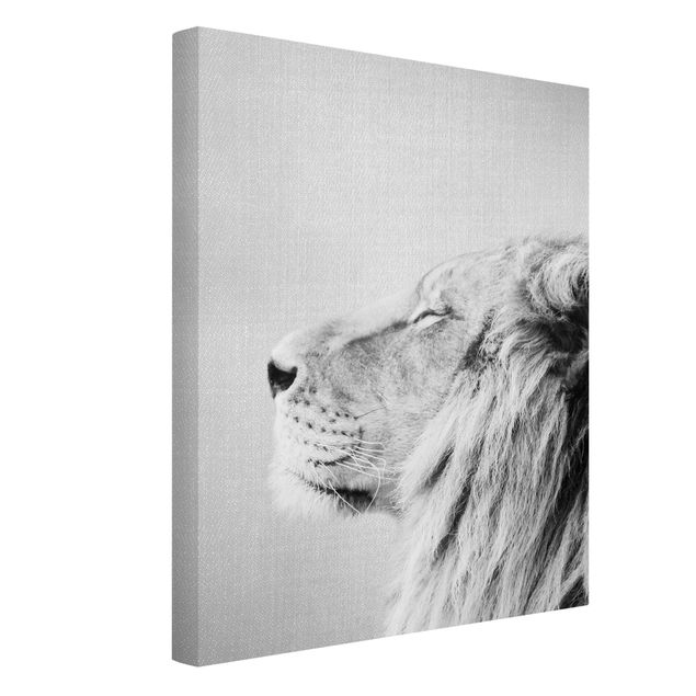 Billeder lions Lion Leopold Black And White