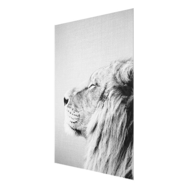 Billeder sort og hvid Lion Leopold Black And White