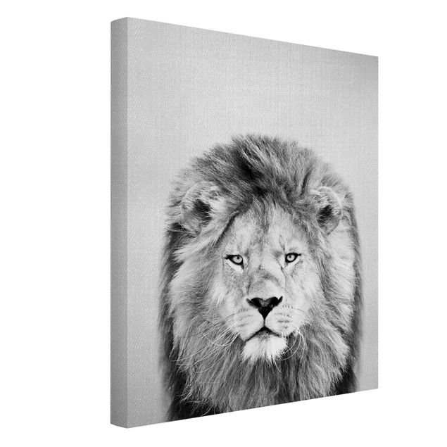 Billeder lions Lion Linus Black And White