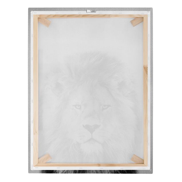 Billeder moderne Lion Linus Black And White