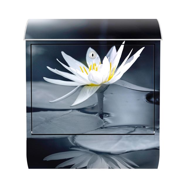 Postkasser blå Lotus Reflection In The Water