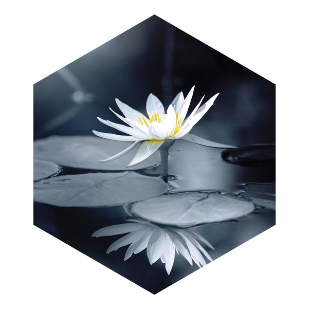 Fototapet orange Lotus Reflection In The Water