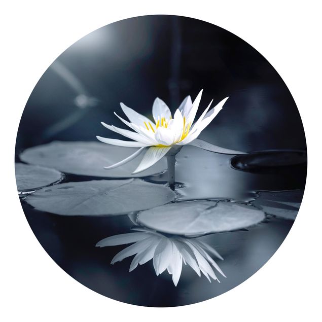 Blåt tapet Lotus Reflection In The Water