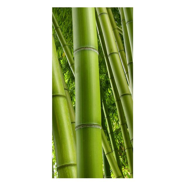 Billeder træer Bamboo Trees