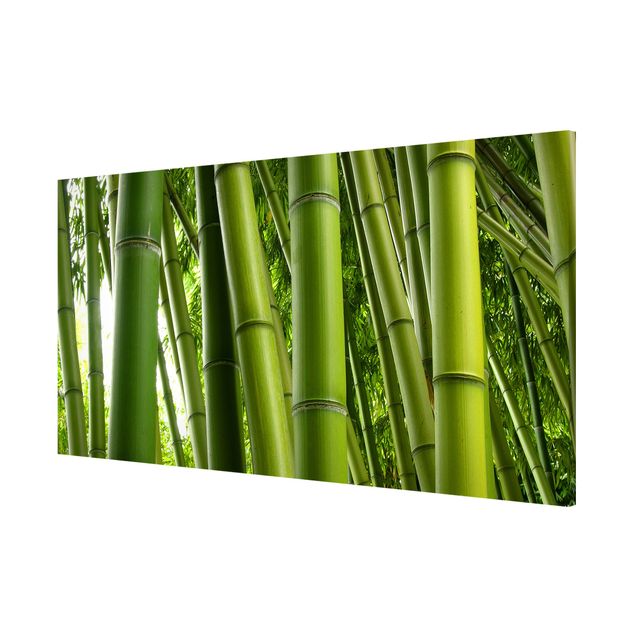 Billeder bambus Bamboo Trees