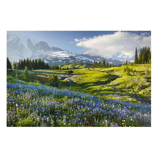 Billeder bjerge Mountain Meadow With Blue Flowers in Front of Mt. Rainier