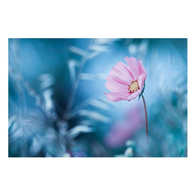 Magnettavler blomster Bloom In Pastel
