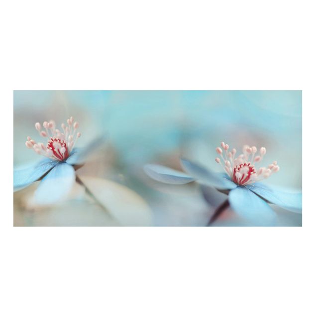 Magnettavler blomster Flowers In Light Blue
