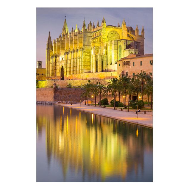 Billeder katte Catedral De Mallorca Water Reflection