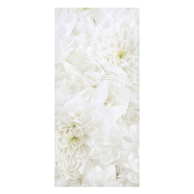 Magnettavler blomster Dahlias Sea Of Flowers White