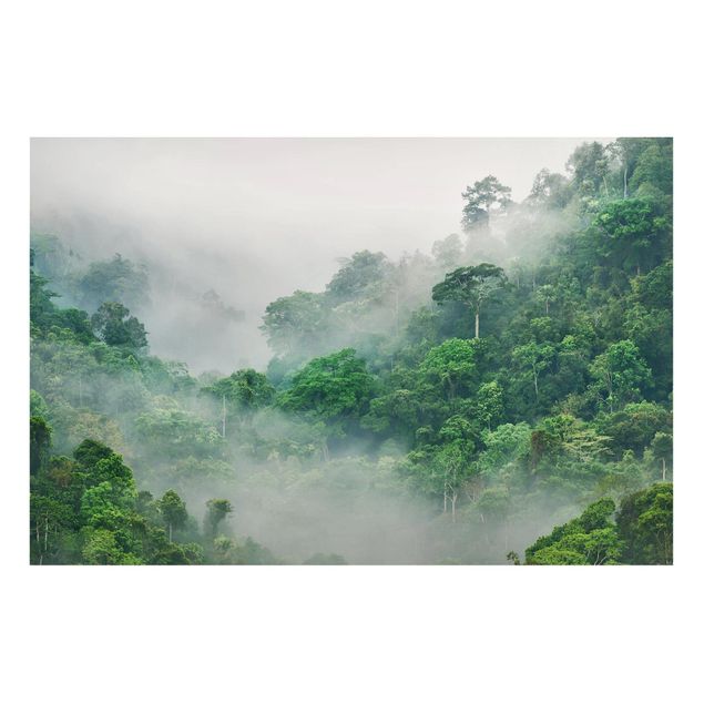 Billeder træer Jungle In The Fog