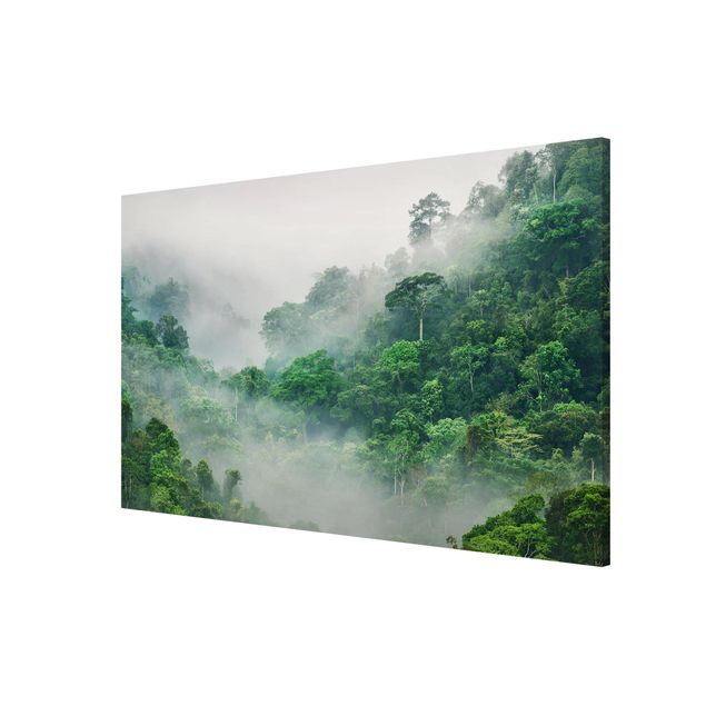 Billeder landskaber Jungle In The Fog