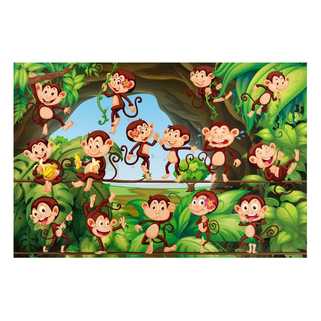 Billeder jungle Jungle Monkeys