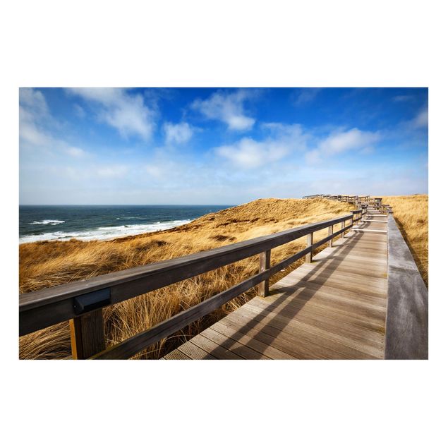 Billeder landskaber Path between dunes at the North Sea on Sylt