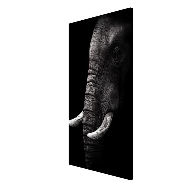 Billeder landskaber Dark Elephant Portrait