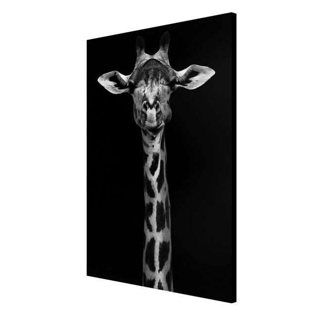 Magnettavler dyr Dark Giraffe Portrait