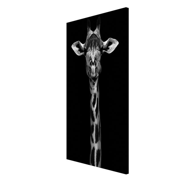 Magnettavler dyr Dark Giraffe Portrait