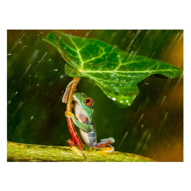 Magnettavler blomster Frog In The Rain