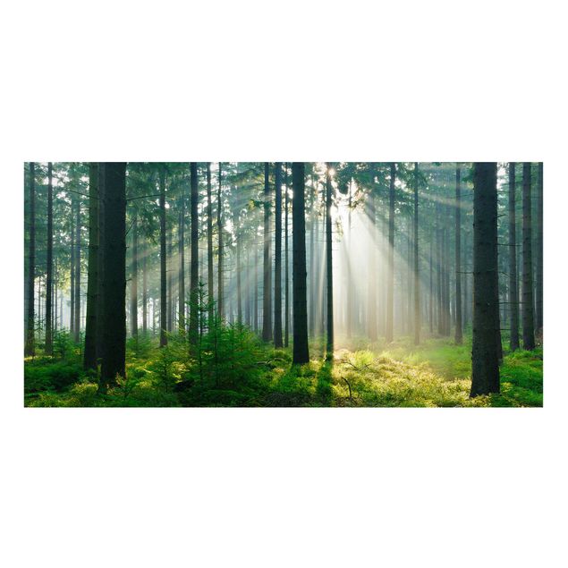 Billeder træer Enlightened Forest
