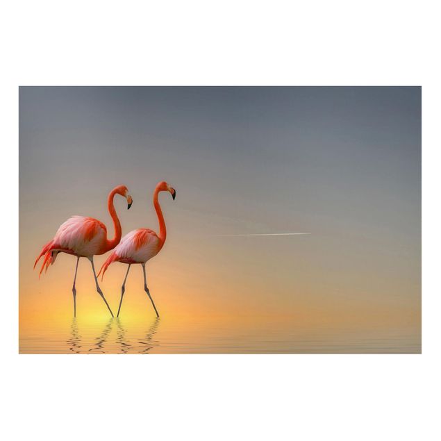 Magnettavler dyr Flamingo Love