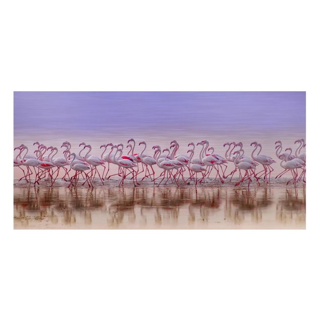 Magnettavler dyr Flamingo Party