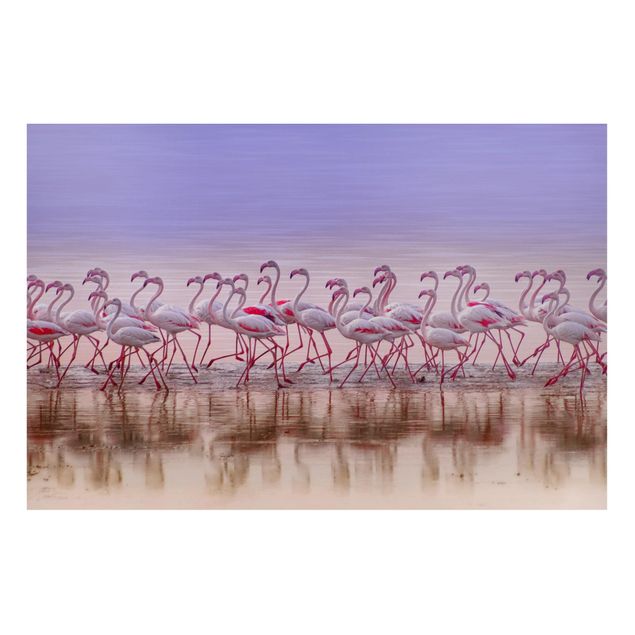 Magnettavler dyr Flamingo Party
