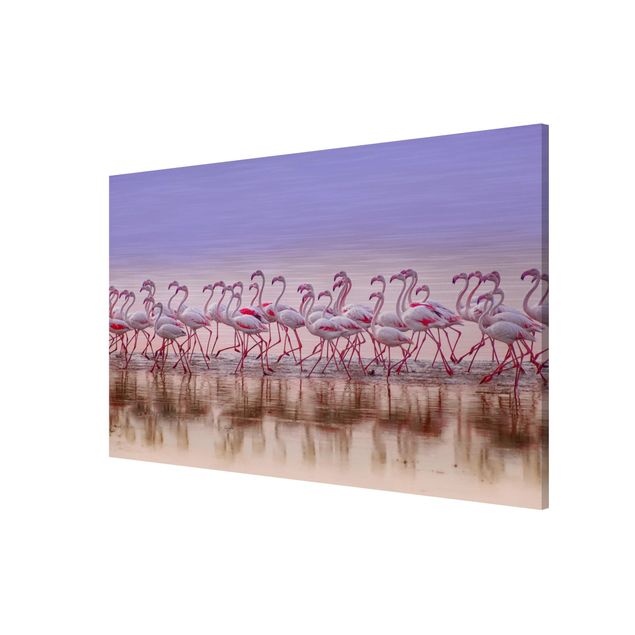 Billeder moderne Flamingo Party