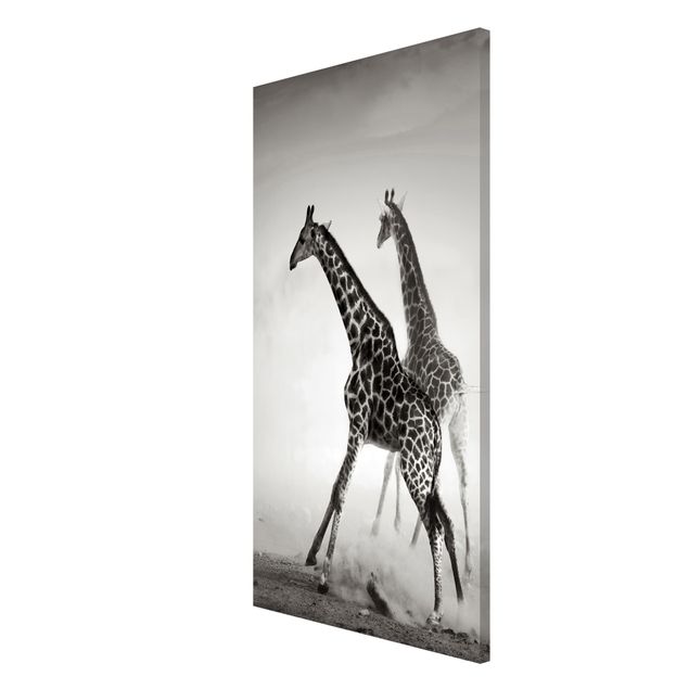 Magnettavler dyr Giraffe Hunt