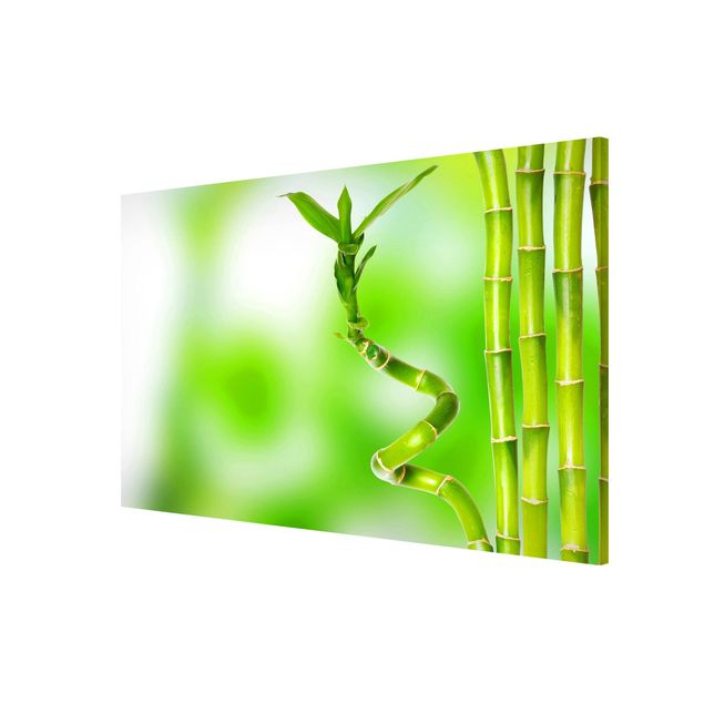 Magnettavler blomster Green Bamboo