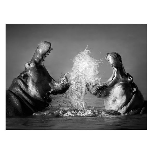 Magnettavler dyr Hippo Fight