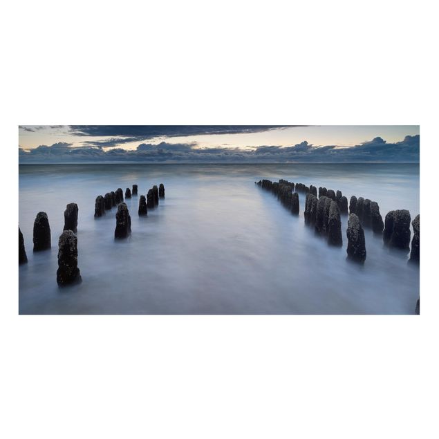 Billeder natur Old Wooden Posts In The North Sea On Sylt
