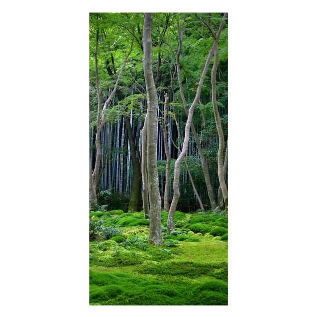 Billeder træer Japanese Forest