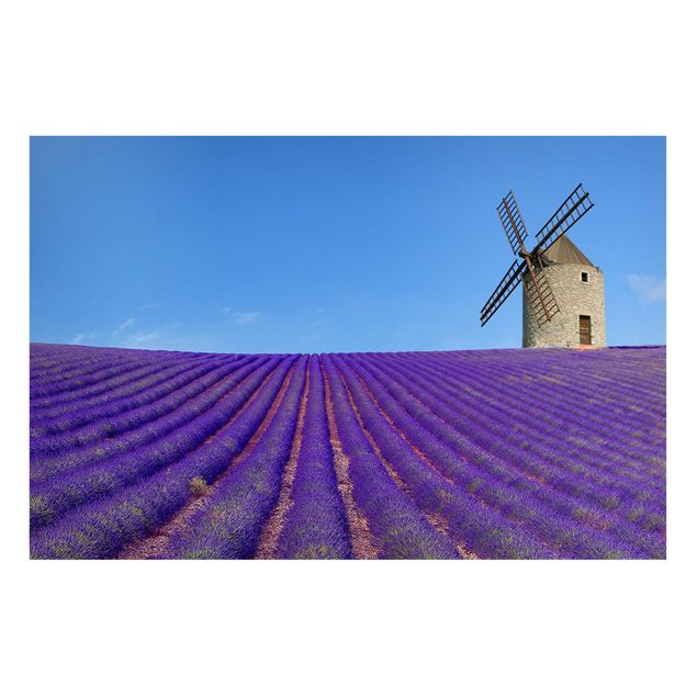 Billeder landskaber Lavender Scent In The Provence