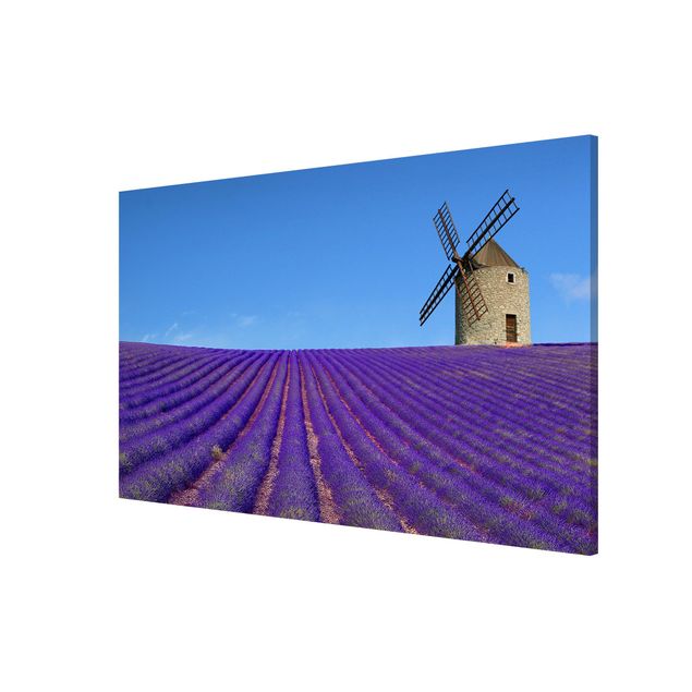 Billeder natur Lavender Scent In The Provence