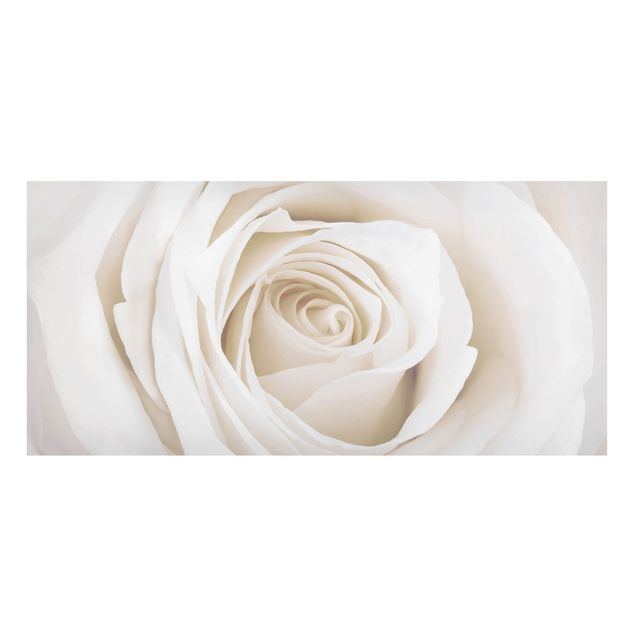 Magnettavler blomster Pretty White Rose