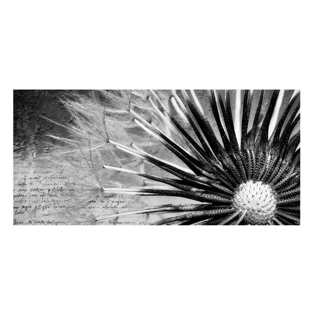 Magnettavler blomster Dandelion Black & White