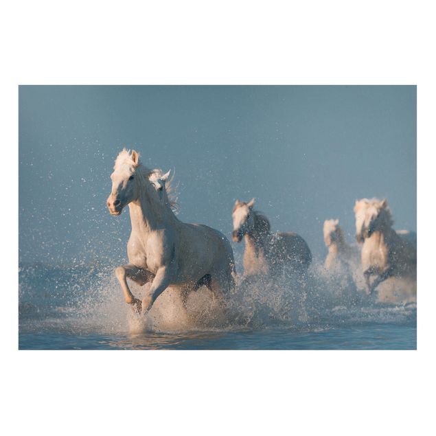 Magnettavler dyr Herd Of White Horses