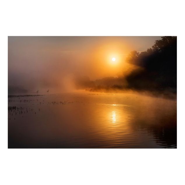 Billeder landskaber Sunrise on the lake with deers in the fog