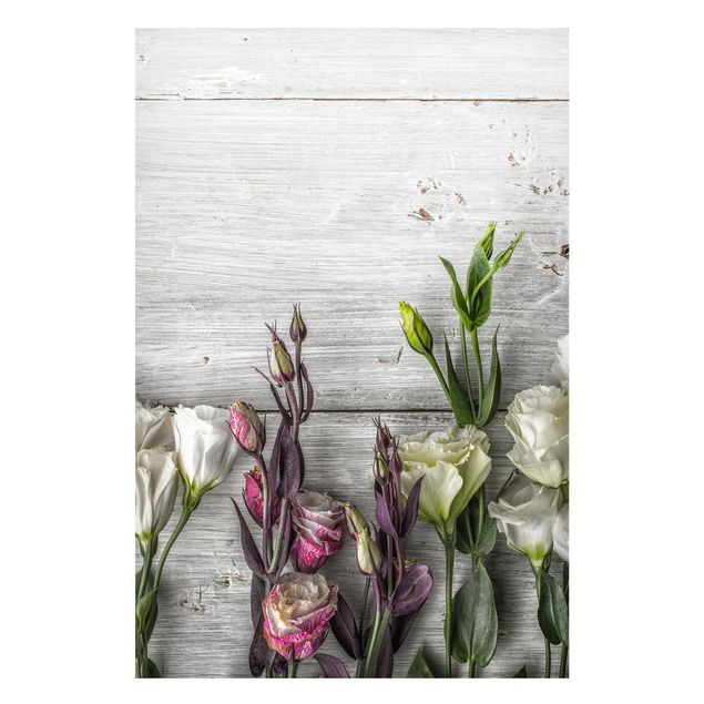 Magnettavler blomster Tulip Rose Shabby Wood Look