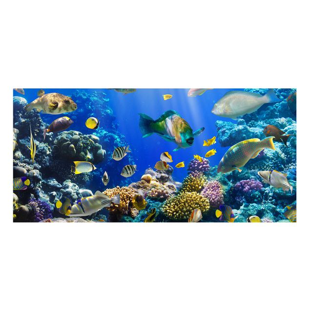 Billeder landskaber Underwater Reef