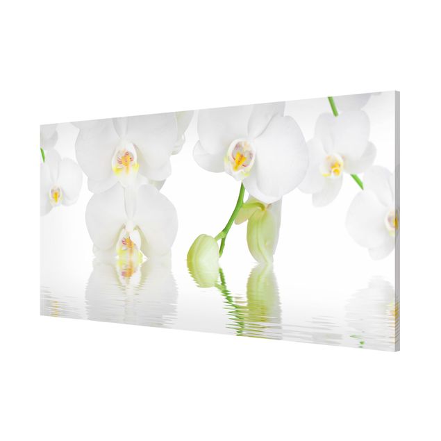 Magnettavler blomster Spa Orchid - White Orchid