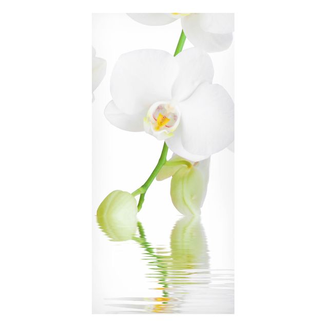 køkken dekorationer Spa Orchid - White Orchid