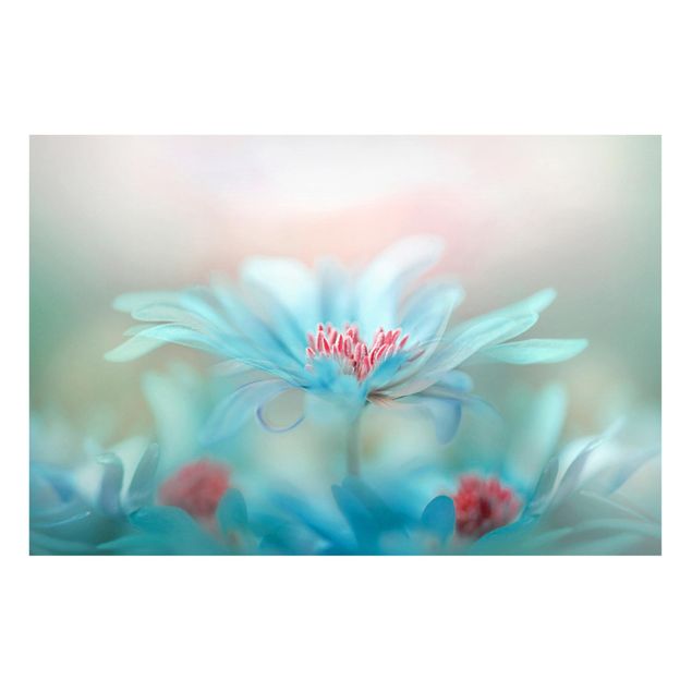 Magnettavler blomster Delicate Flowers In Pastel