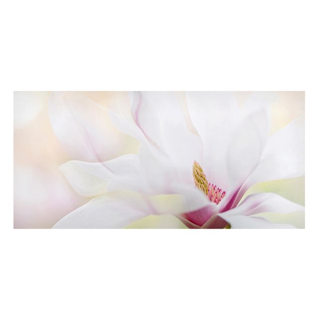 Magnettavler blomster Delicate Magnolia Blossom