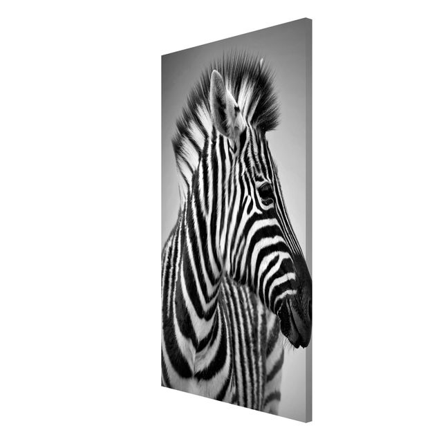 Magnettavler dyr Zebra Baby Portrait II