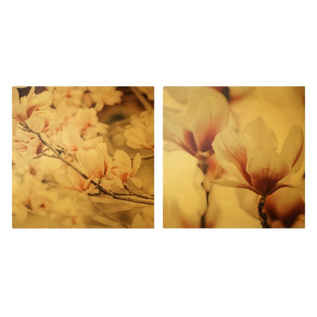 Billeder Magnolia Flower Set
