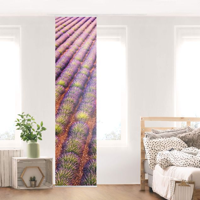 Panelgardiner blomster Picturesque Lavender Field