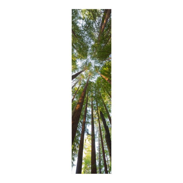 Panelgardiner landskaber Sequoia Tree Tops